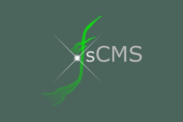 dotfsCMS